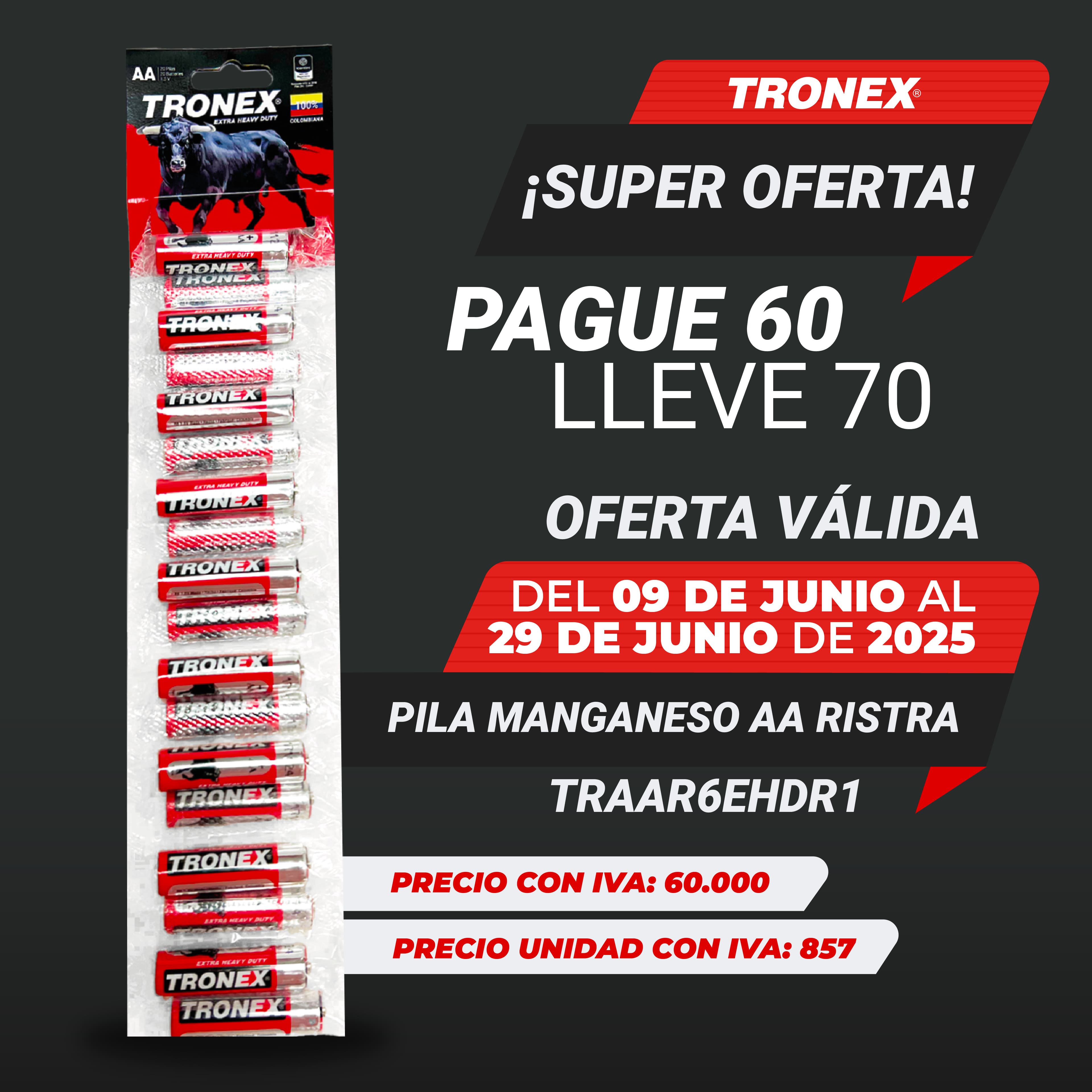 Pague 60 Lleva 70 Pila Batería Manganeso AA